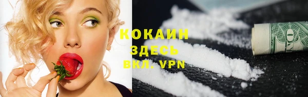 ешки Арсеньев